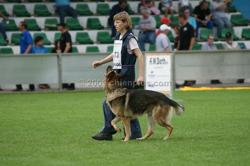 Kasper vom Wolfsgraben963.JPG